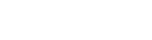 POLARIS Consulting